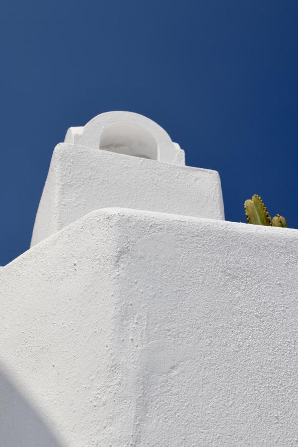 Aidos Villa Santorini Megalochori  Buitenkant foto